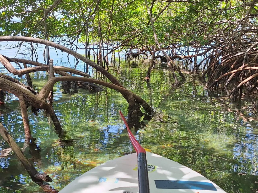 Mar'eau Kayak