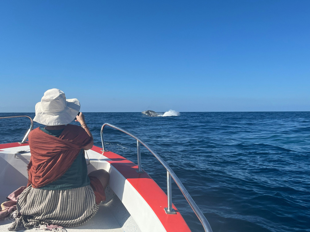 Valentino's Fishing Charters-Crucecita必去景点