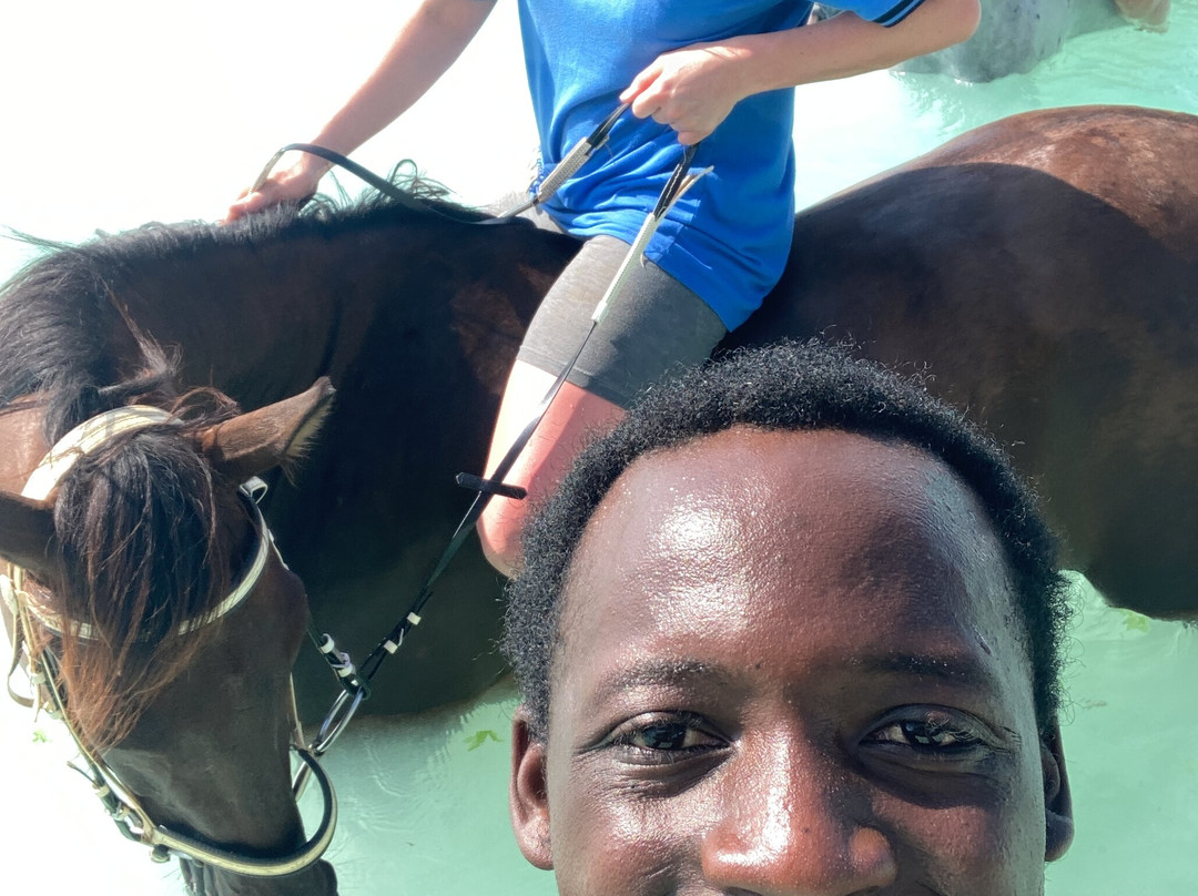 Ethical Dolphin Tours - Kizimkazi, Zanzibar-Kizimkazi必去景点