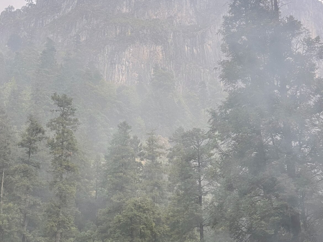 Los Dinamos-墨西哥城必去景点