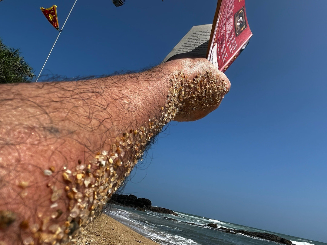 Turtle Paradise主图