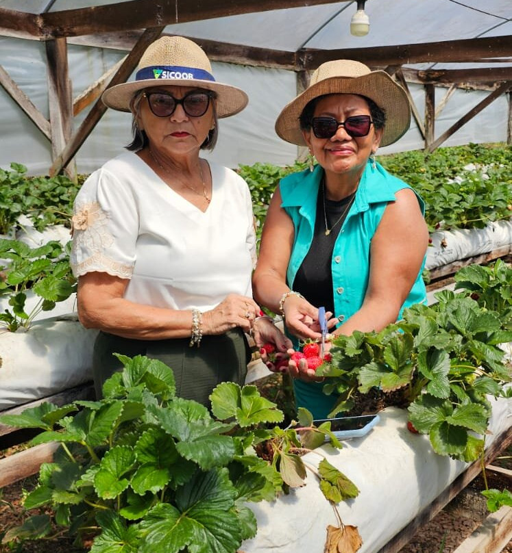 Dosultur-格拉玛多必去景点