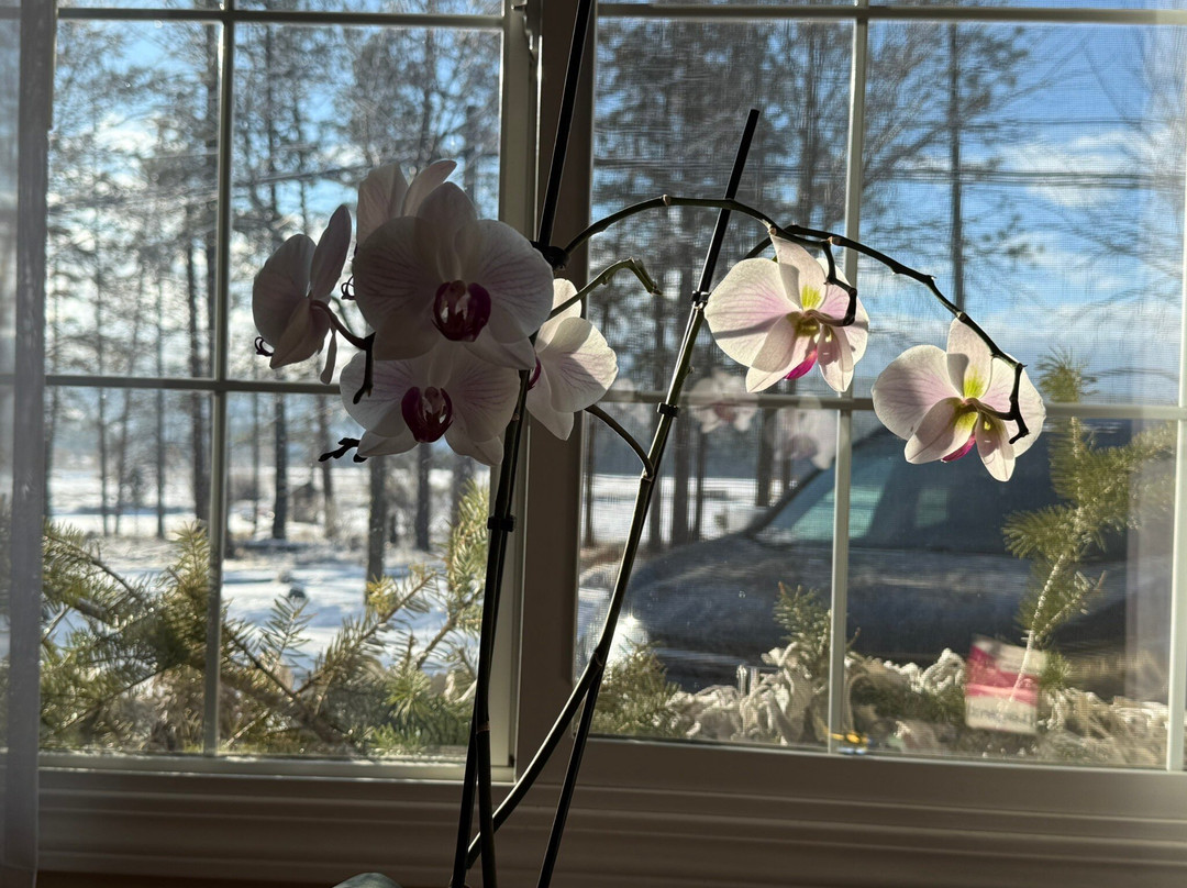 Elizabeth Lake Lodge主图