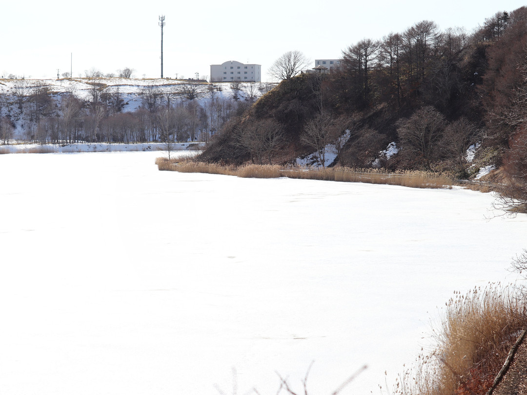 Harutori Lake Hiking Trail-钏路市必去景点