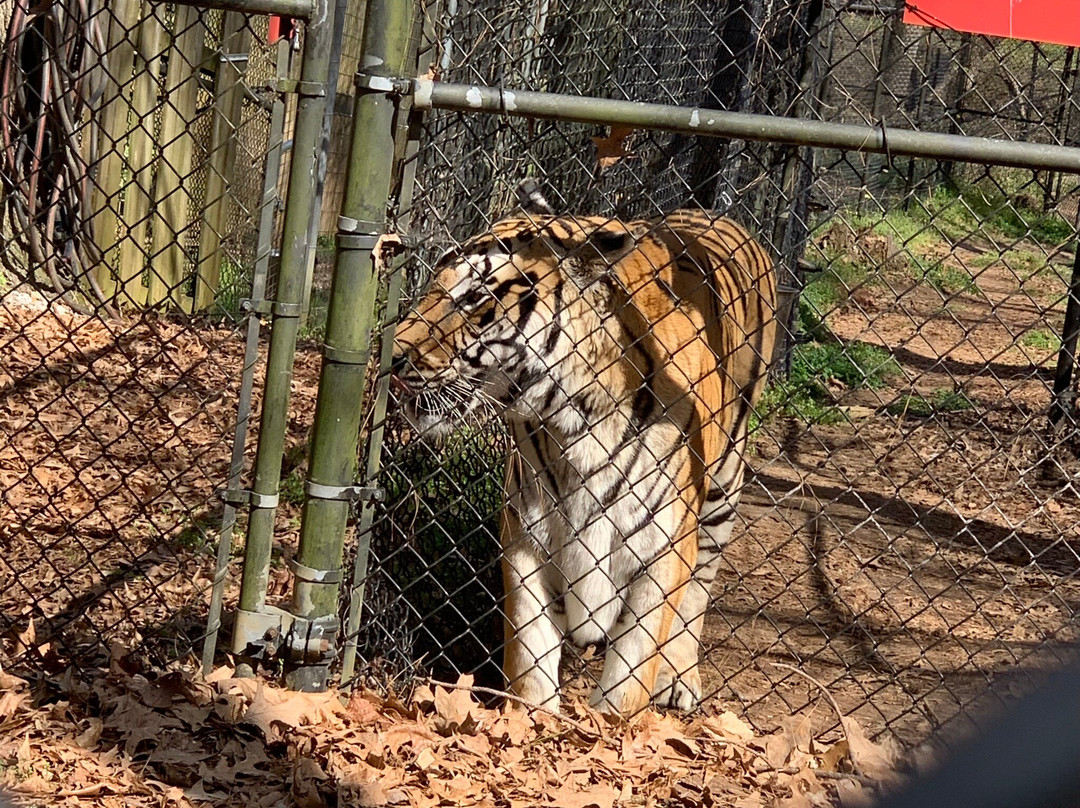 Noah's Ark Rehabilitation Center-Locust Grove必去景点