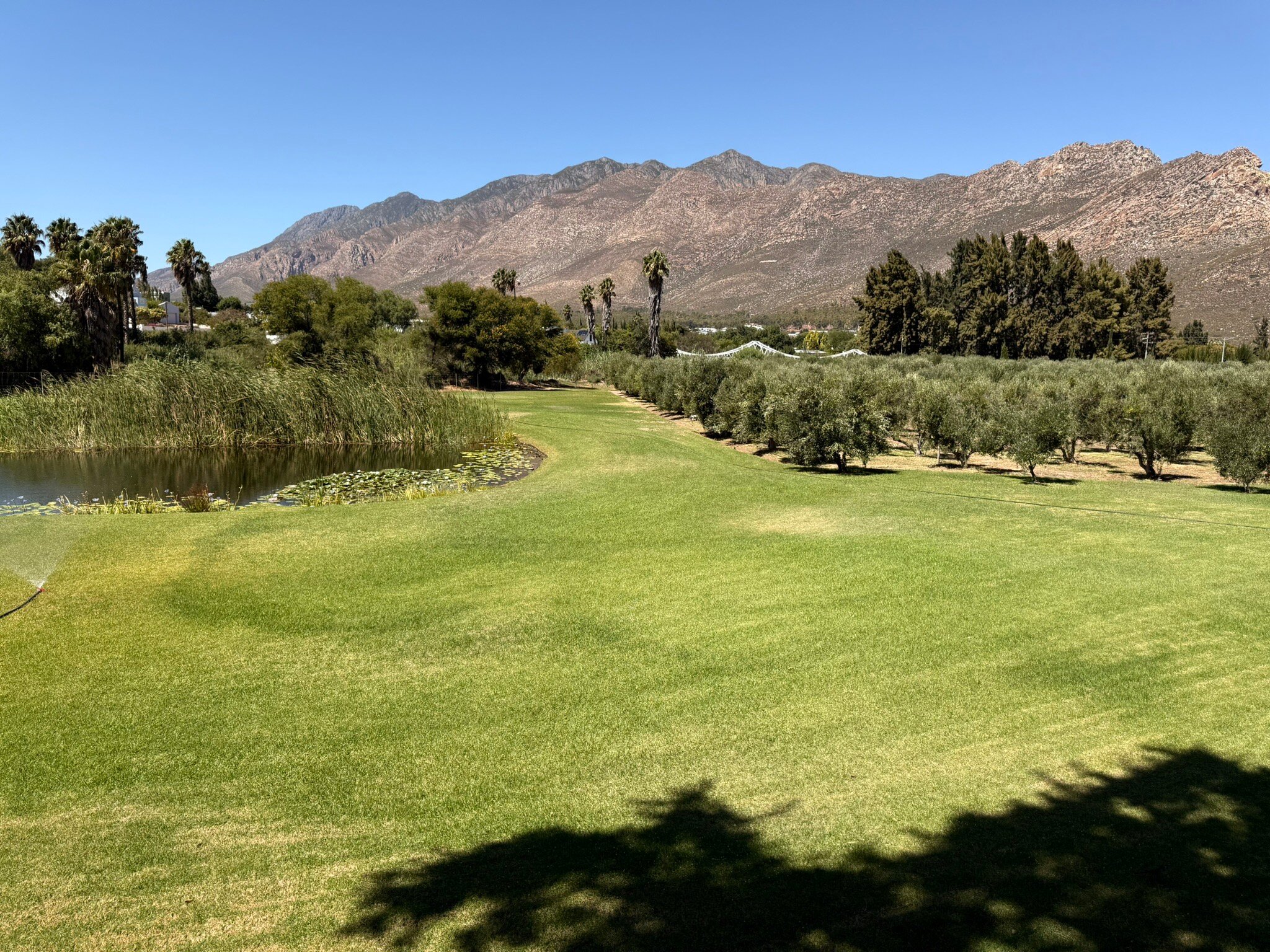 Montagu Vines Guesthouse-官方