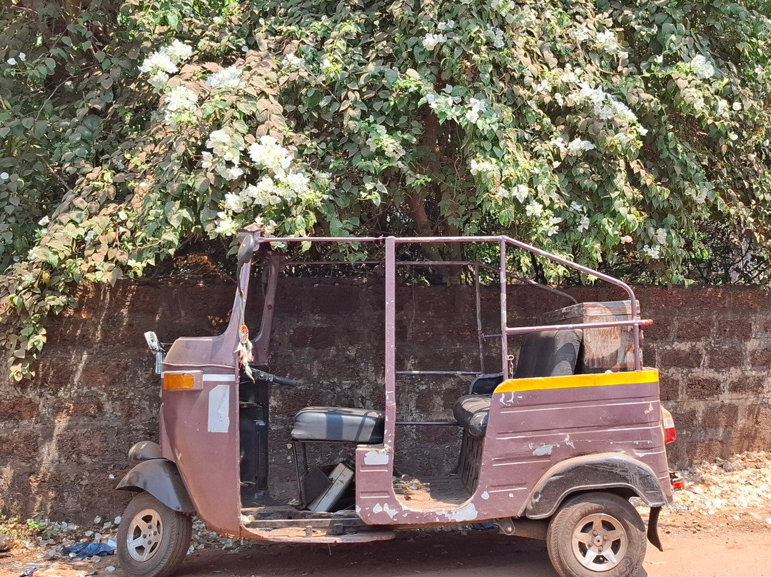 Agonda Beach Road-格纳戈纳必去景点