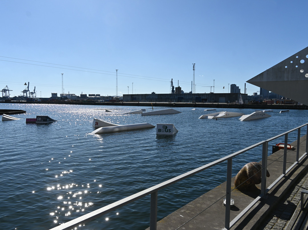 Aarhus Øje-欧胡斯必去景点