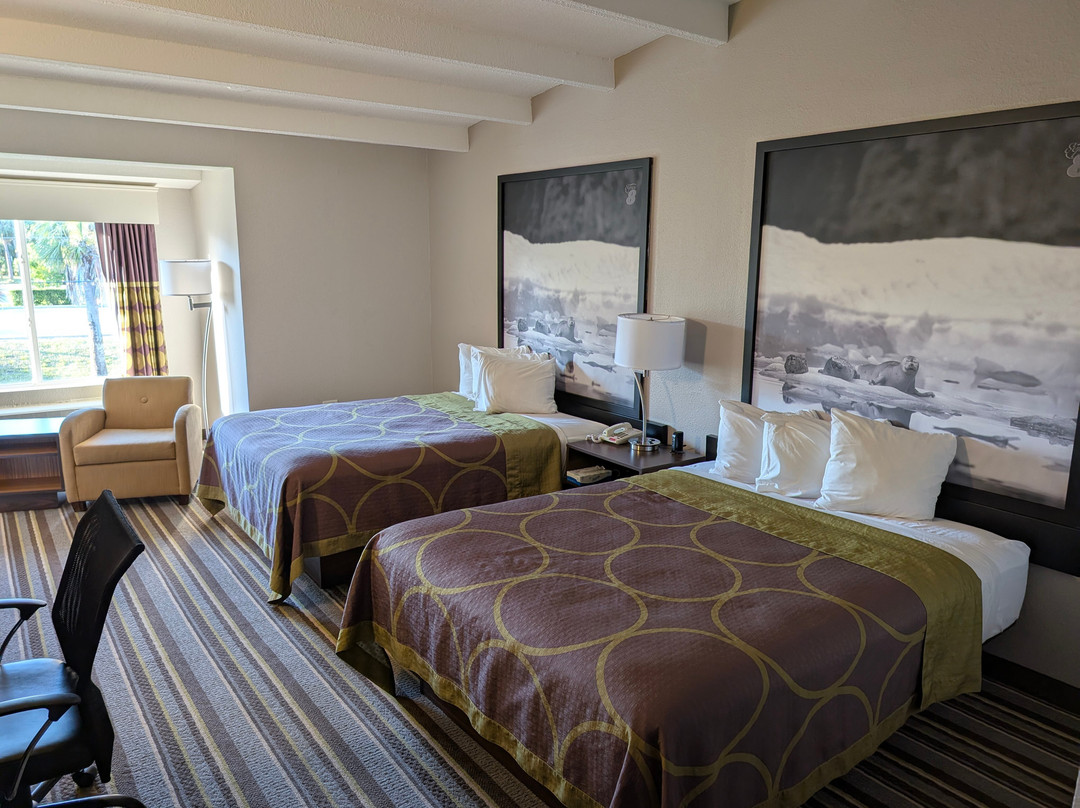 Super 8 By Wyndham Melbourne主图