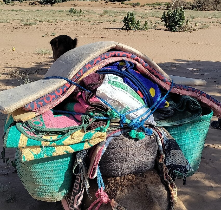 Discover Sahara-扎古拉必去景点