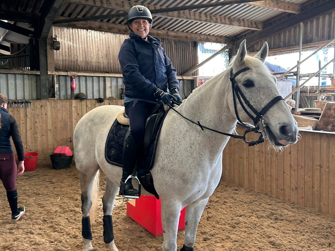 Pen Llyn Lusitano Stud and Riding Centre景点图片