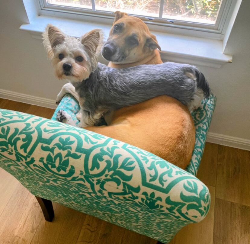 La Quinta Inn & Suites by Wyndham Tulsa Downtown / Route 66主图