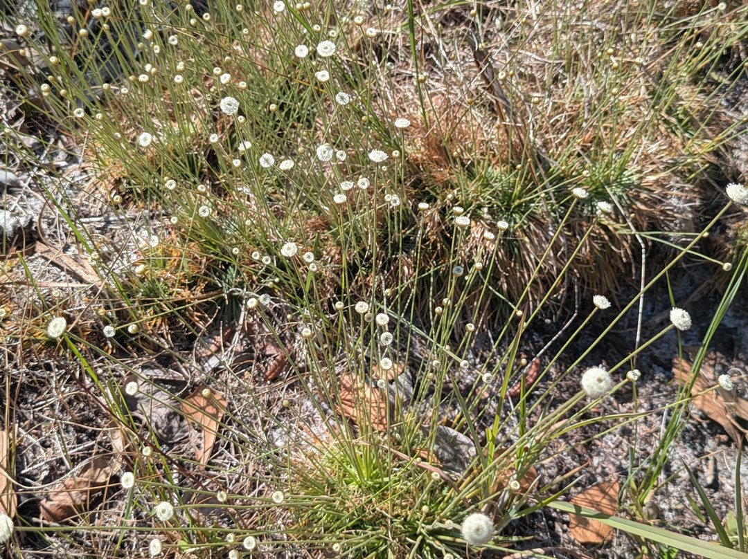 Tiger Creek Preserve-莱克威尔士必去景点