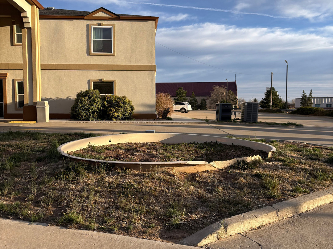 Days Inn by Wyndham Vega TX主图