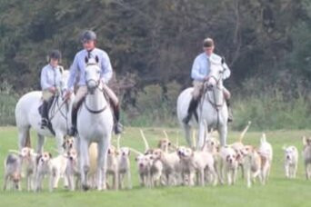 Healing Touch of Galena-加利纳必去景点
