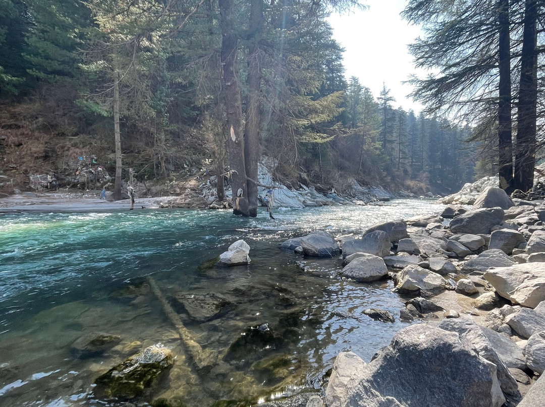 Negi Nest Kasol主图