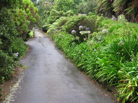 Egmont Eco Lodge-客卧