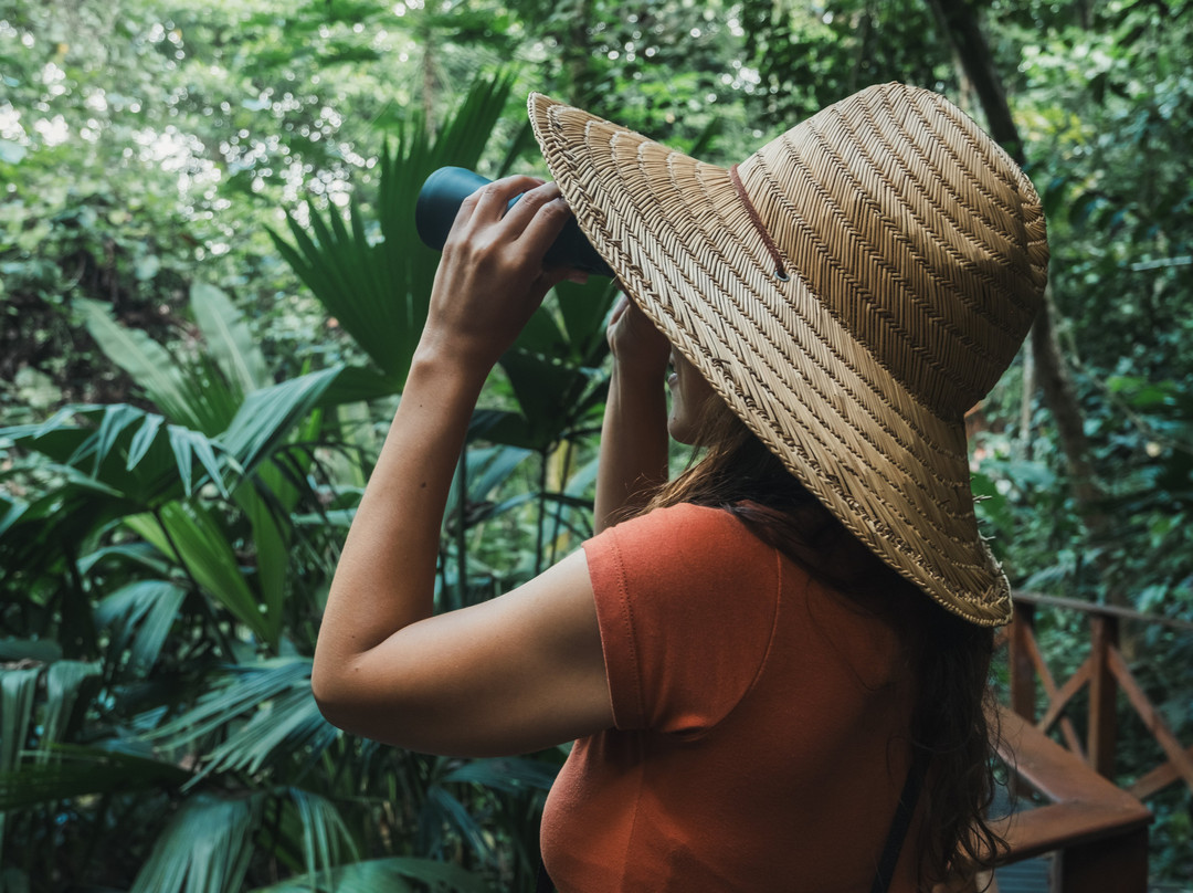 Ecohotel Yachay Tayrona主图