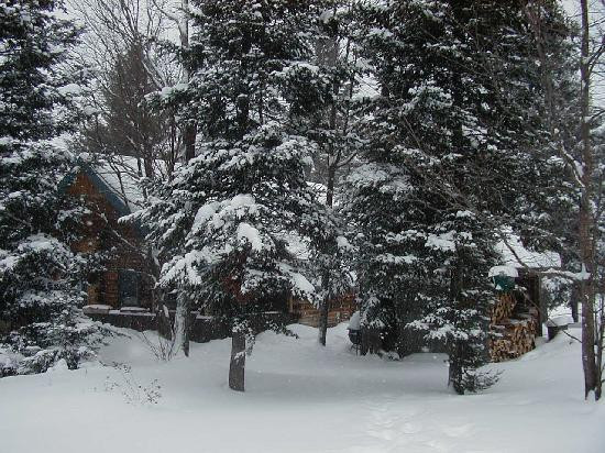 Eden Mountain Lodge主图