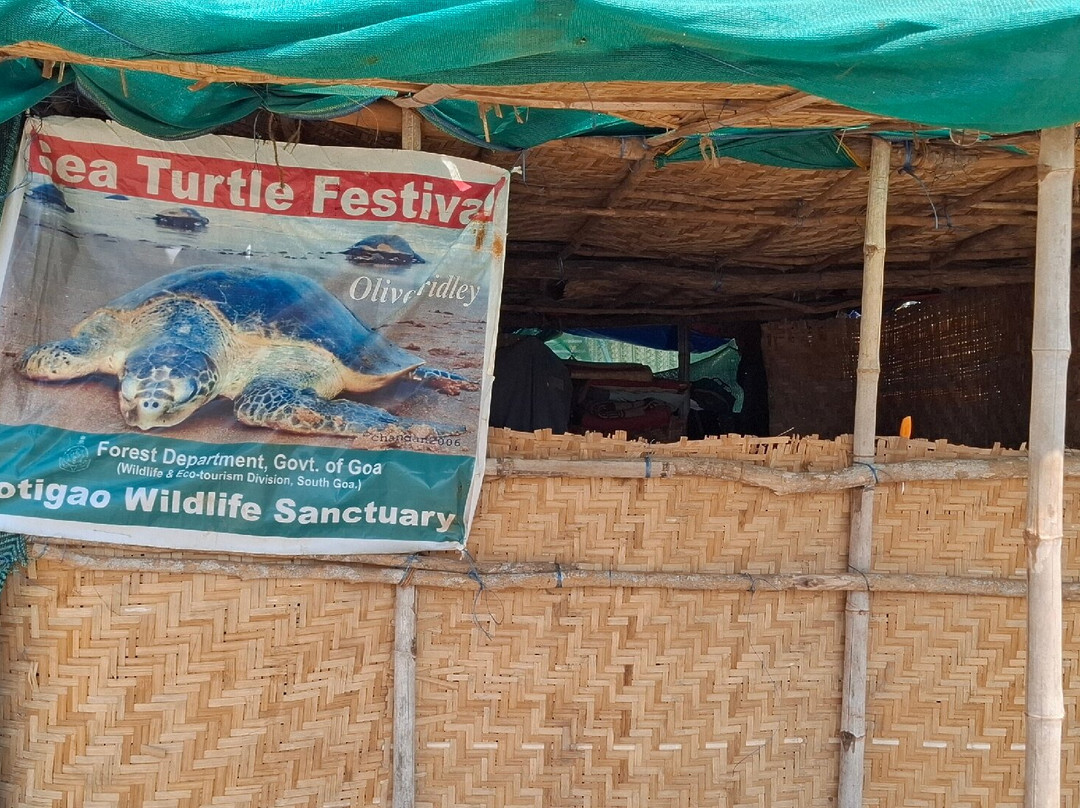 Cotigao Wildlife Sanctuary - Turtle Nests-雅高达必去景点