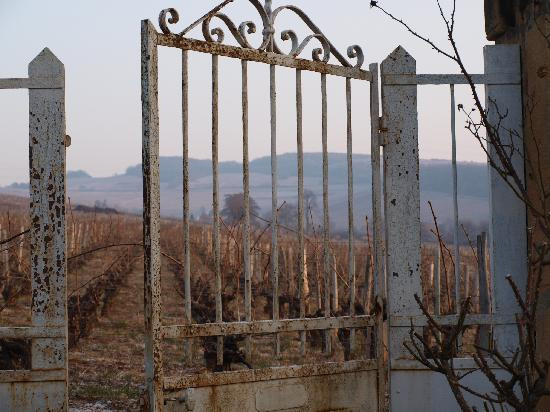 Domaine Rijckaert主图