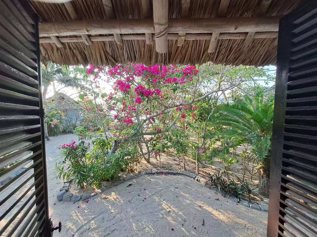 鲸鱼岛度假村主图