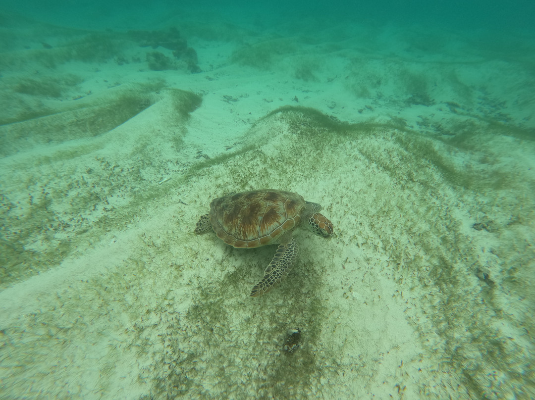 Freedom Cruises-弗力克昂弗雷克必去景点