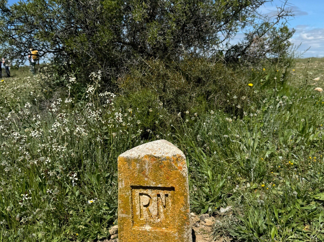 Hospederia de Alesves主图