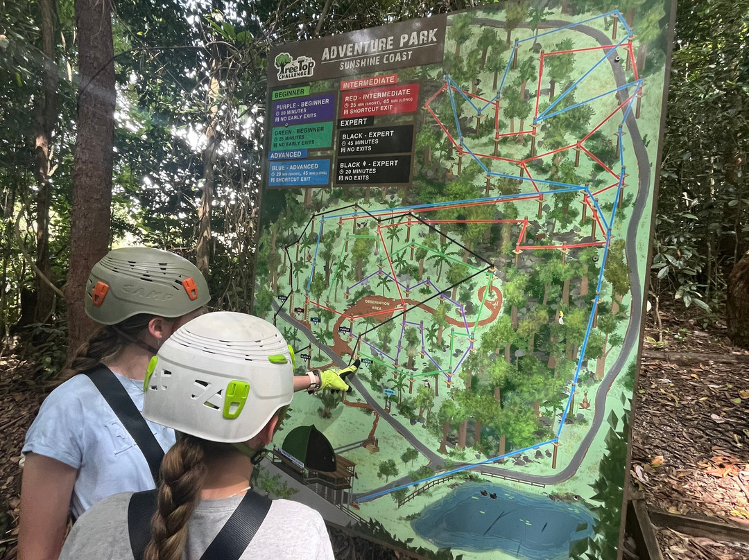 TreeTop Challenge景点图片