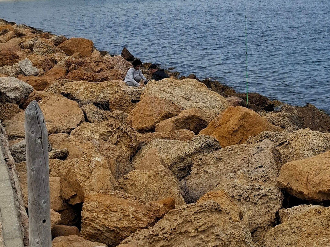 Starboard Harbour Wall-康大维港必去景点