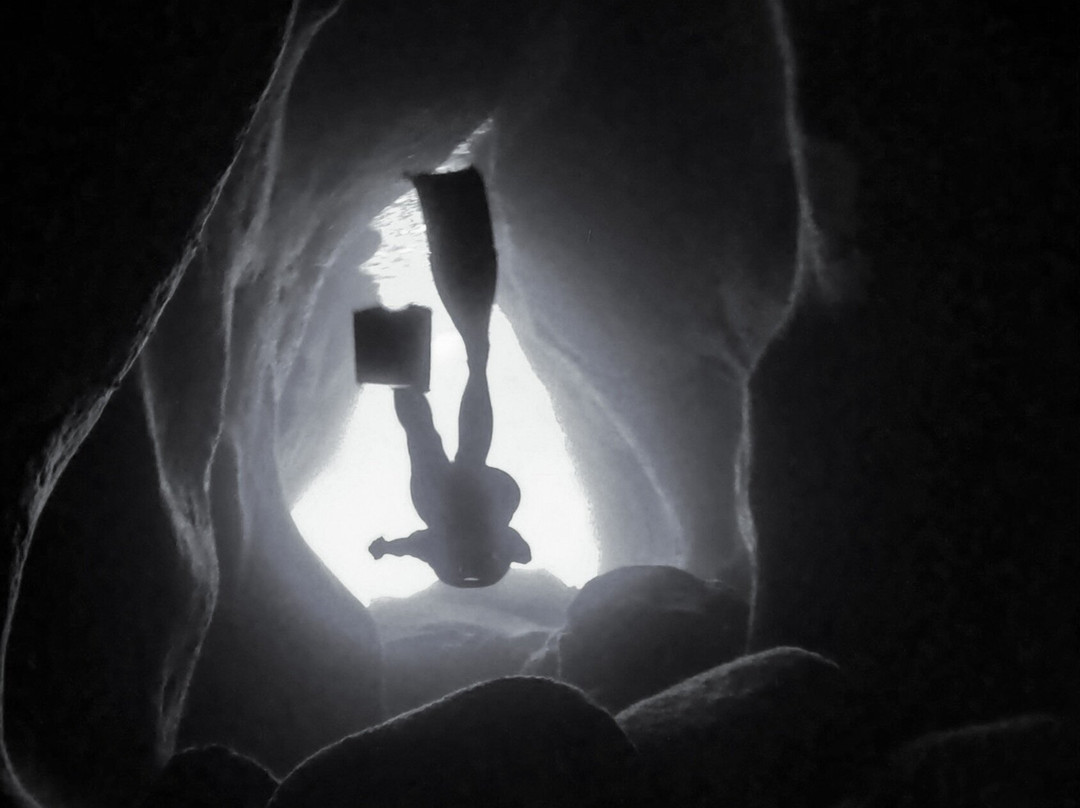 Kona Offshore Adventures-凯鲁瓦-柯纳必去景点