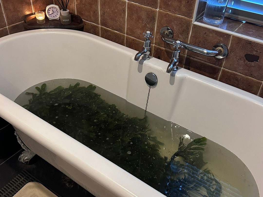 Voya Seaweed Baths-斯特兰迪希尔必去景点