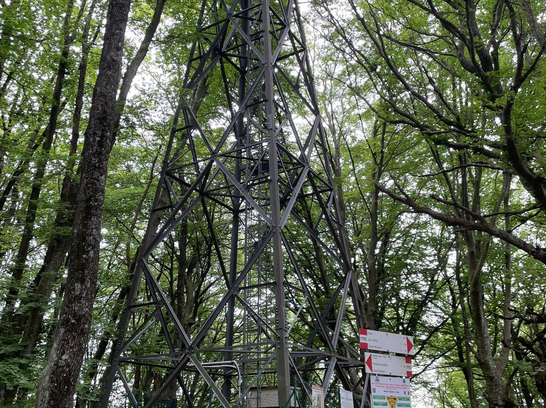 La Faggeta Di Oriolo Romano-Oriolo Romano必去景点