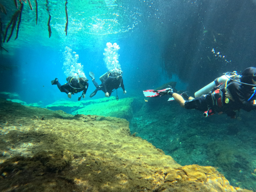Blue Experience Diving-艾库玛尔必去景点