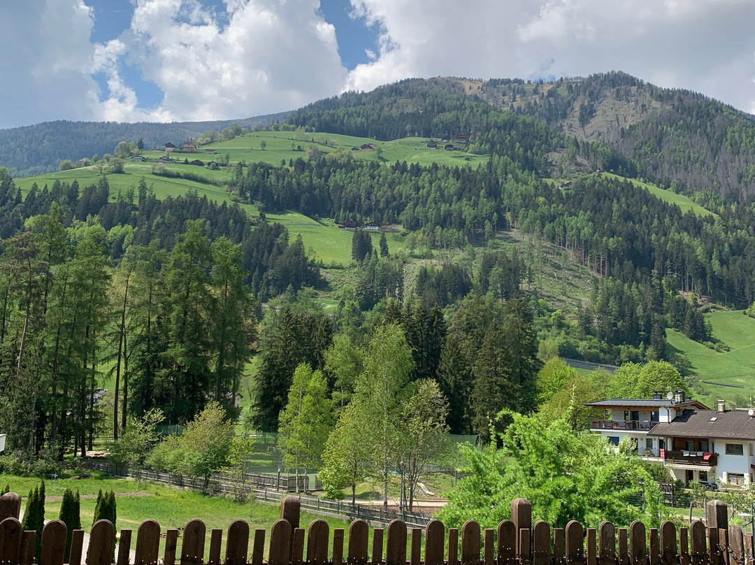 Hotel Appartement Haus Gitschberg主图