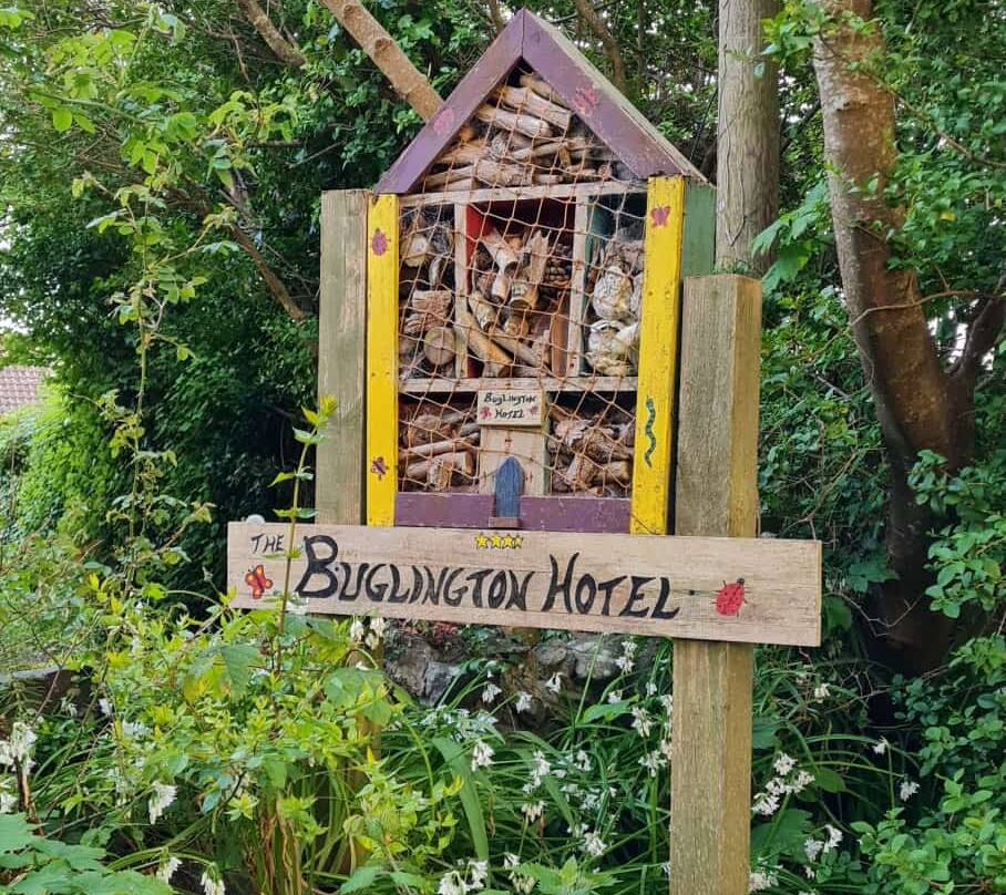 Kirwan's Garden-Rosslare Harbour必去景点