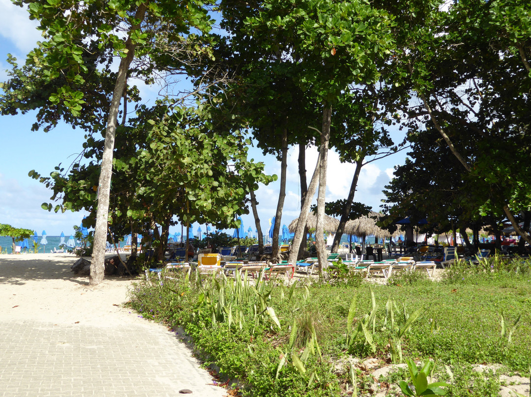 Cortlang Vacation Rentals主图