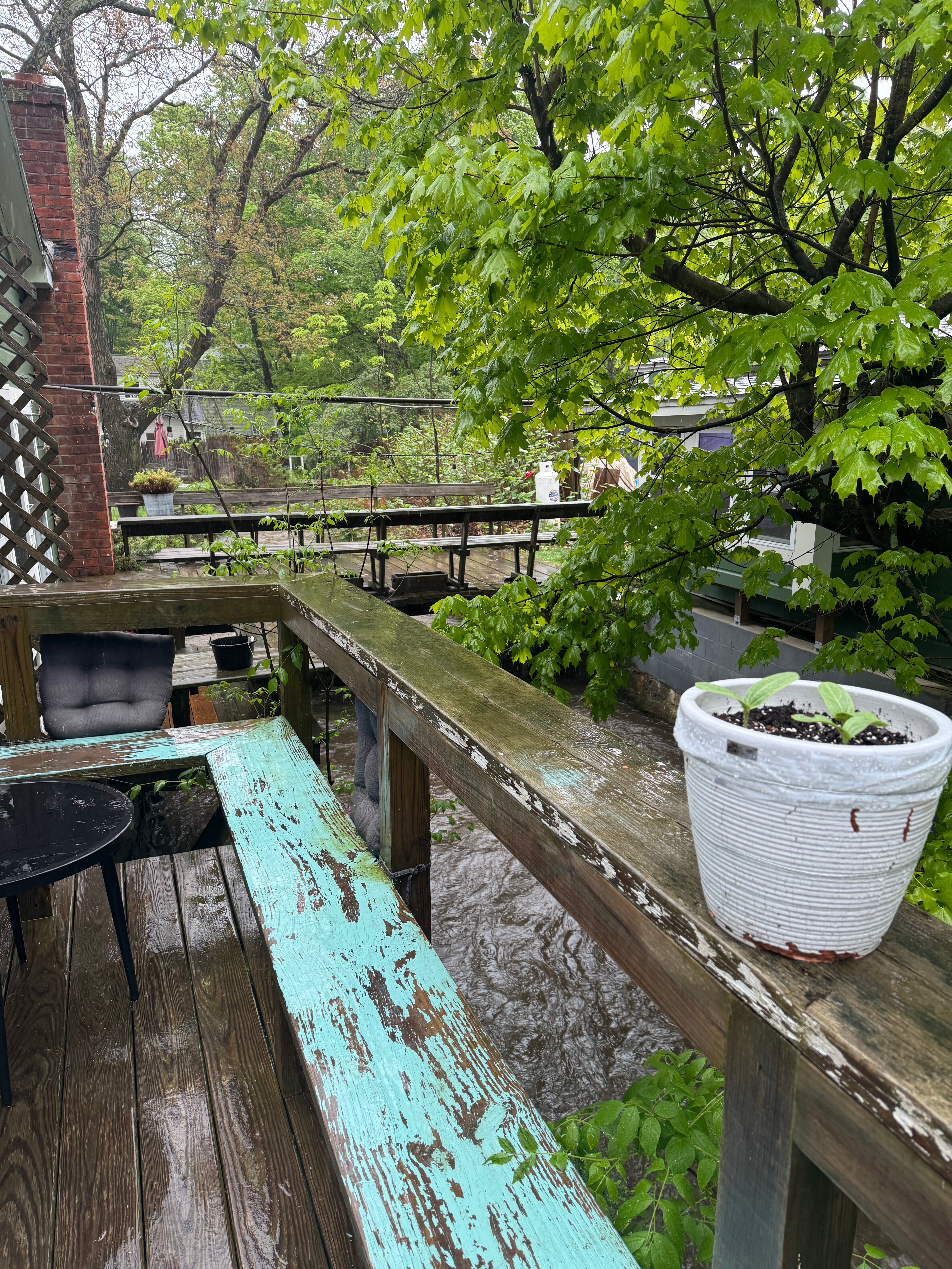Morning Glory BnB Woodstock NY-酒店景观
