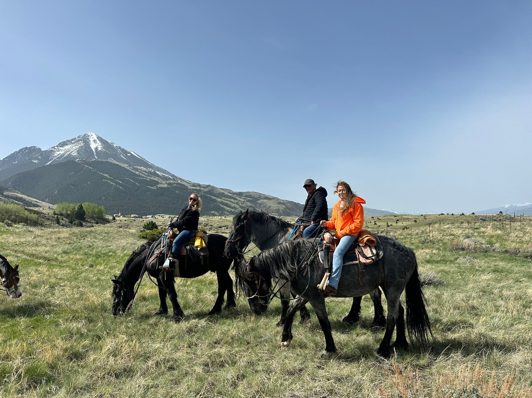 Rockin' HK Outfitters-Chico必去景点