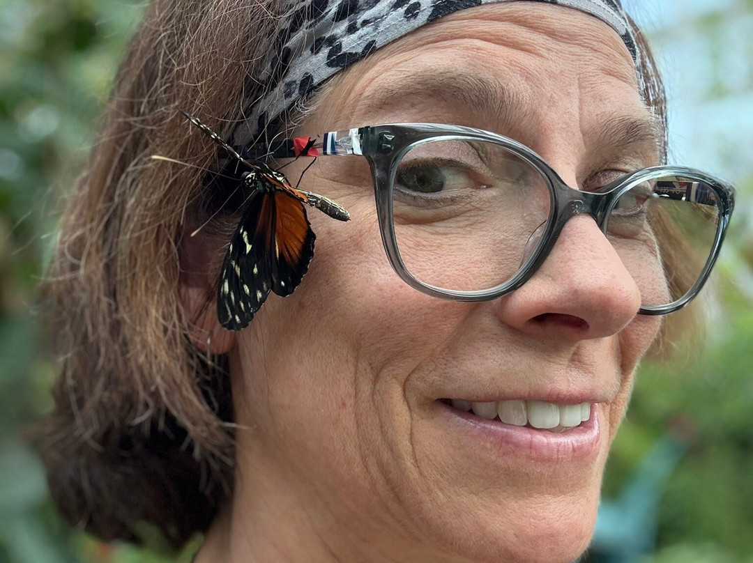 The Sophia M. Sachs Butterfly House-切斯特菲尔德必去景点