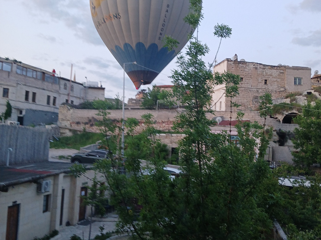 Azalea Terrace Hotel主图