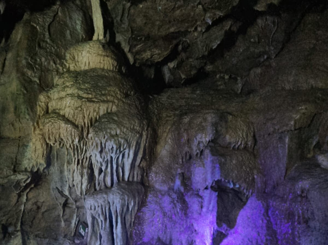 Stump Cross Caverns景点图片