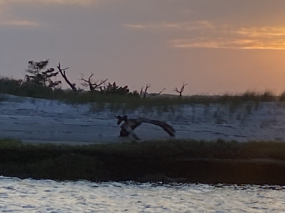 Lady Swan Boat Tours-Swansboro必去景点