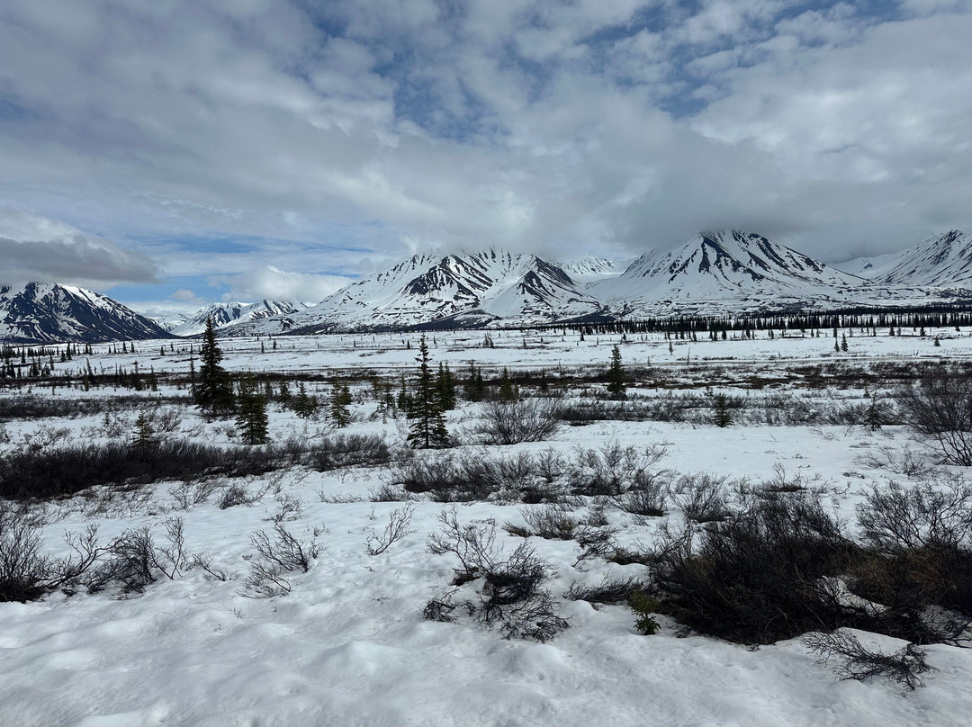 Denali Star Train景点图片