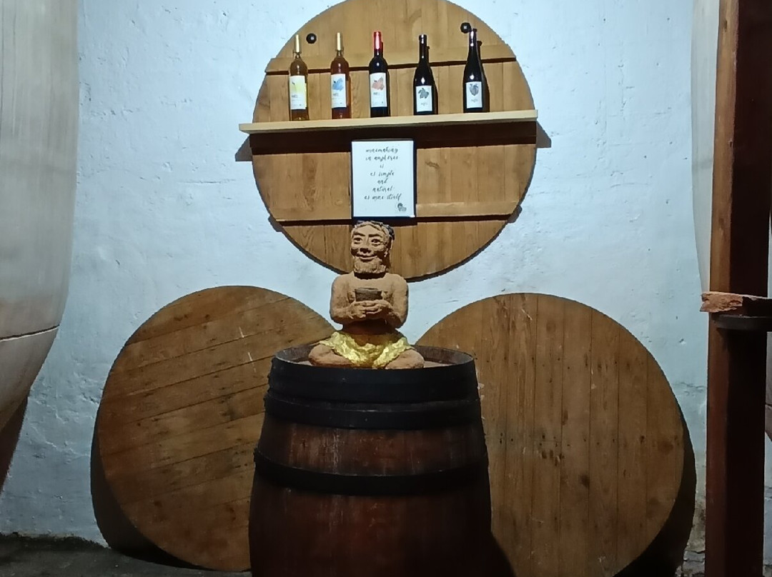 La Bodega de las Estrellas-Valdepenas必去景点