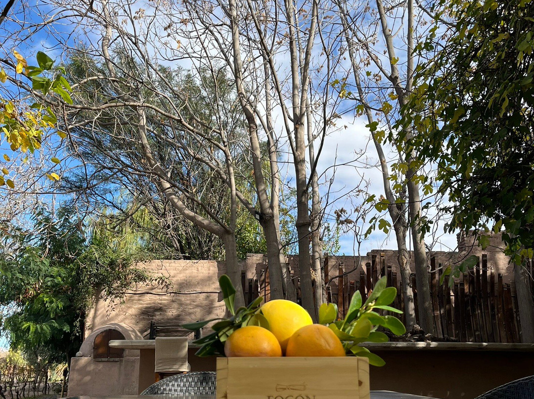 Bodega Lagarde-路冉得库约必去景点