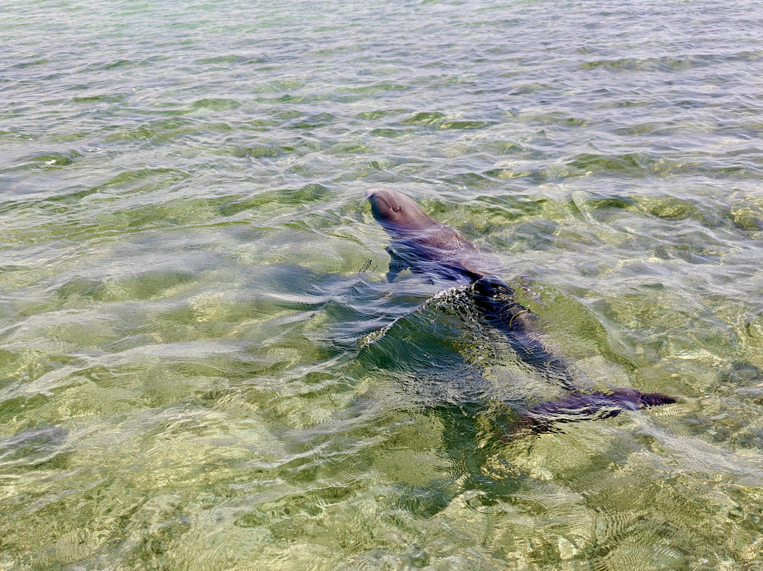 Fishbone Tours-伊柳塞拉必去景点