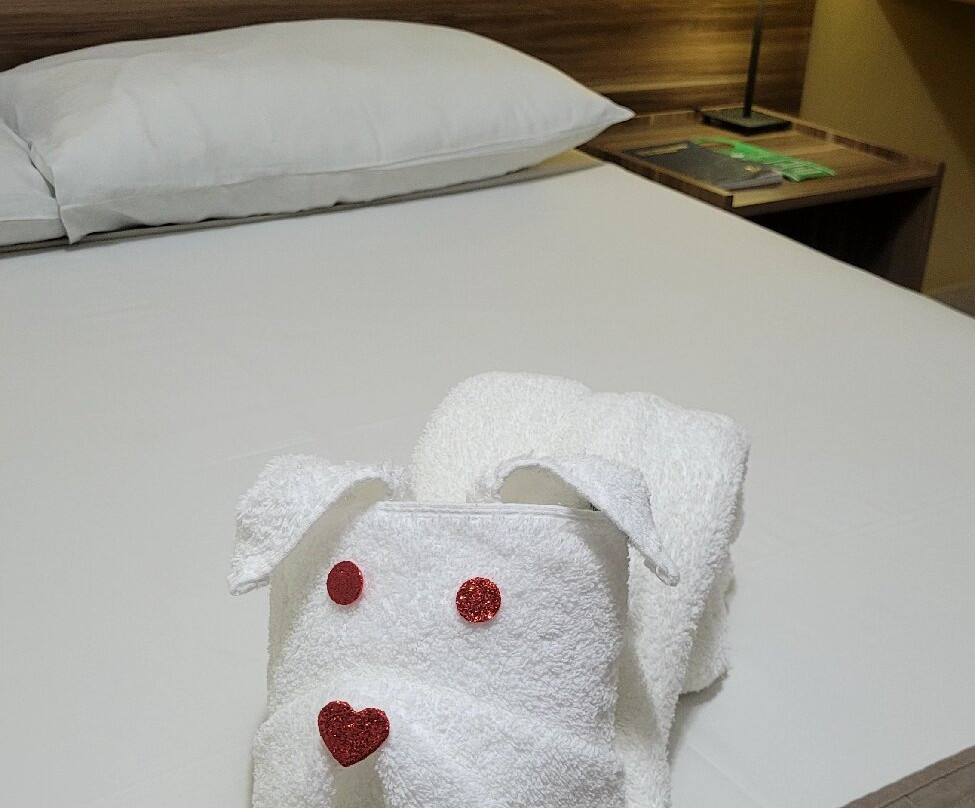 Beira Lago Palace Hotel主图