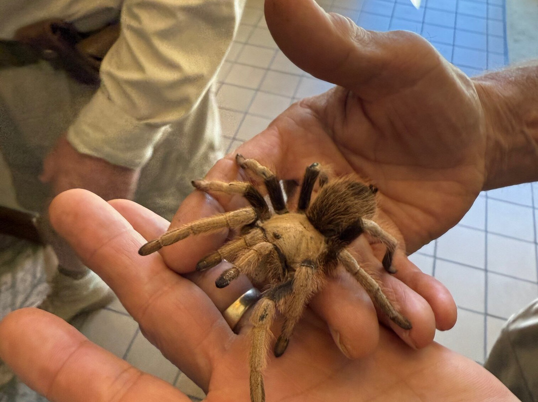 德芙山丽思卡尔顿酒店主图