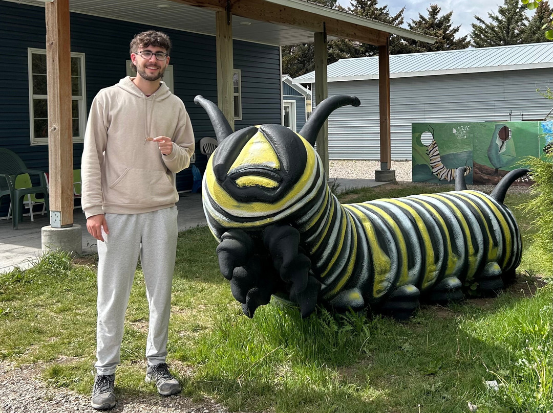 The Butterfly Haven-Pingree必去景点